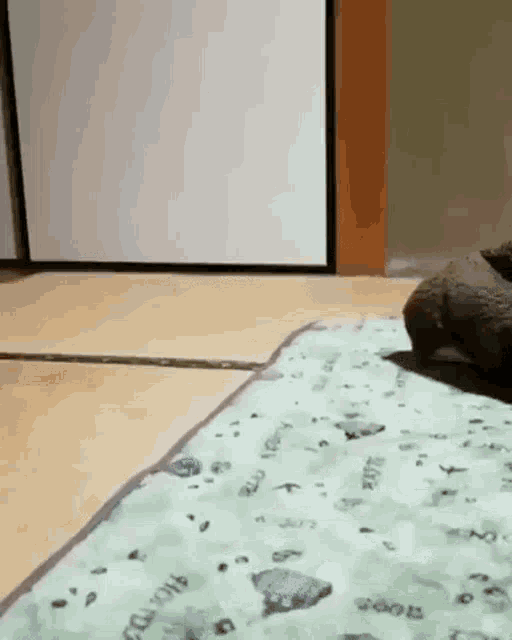 An animated gif of a small dog pushing a rag across the floor.