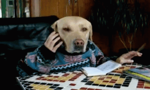 A gif of a dog sitting at a table talking on the phone and twirling a pen.