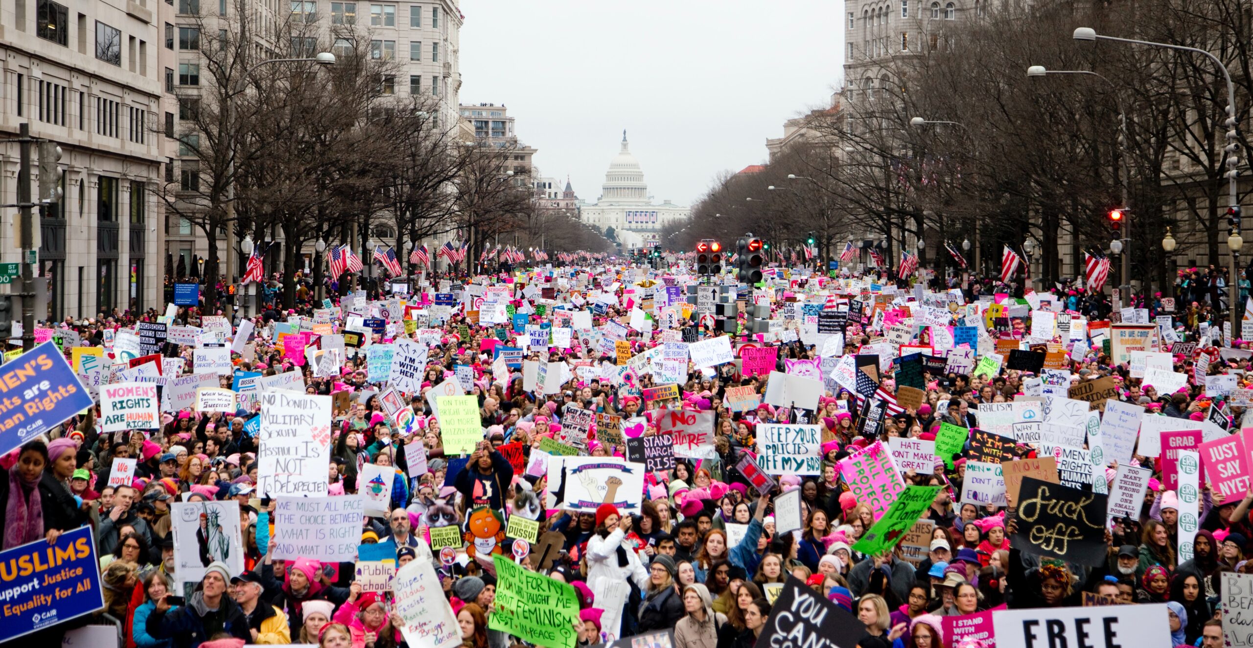 An image of the 2017 Women's March in Washington, DC, with the U.S. Capitol in the background.